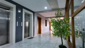 PapayaCare-Lift-area