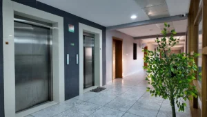 PapayaCare-lift-side-area