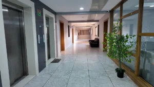 PapayaCare-lobby-area-2